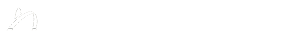 Business Jet Services Logo