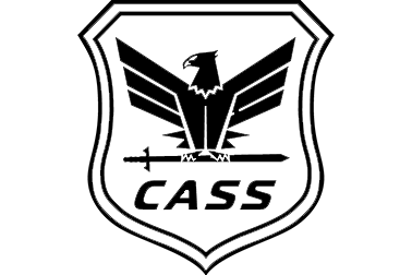 CASS Professional Services Logo