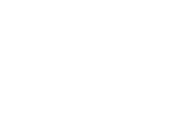 CASS Professional Services Logo