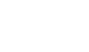 Corporate Eagle Logo