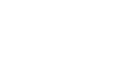 Pegasus Aero Group Logo