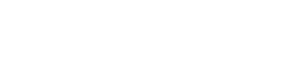 Performance Flight Logo