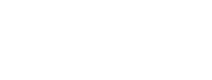 PrimeFlight Logo