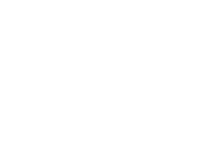 Royal Flying Doctors Service Logo