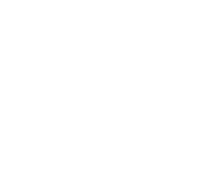 Salty Pelican White