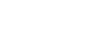 Transportes Aéreos Pegaso Logo