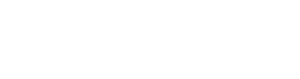 Willis Aviation Services Logo