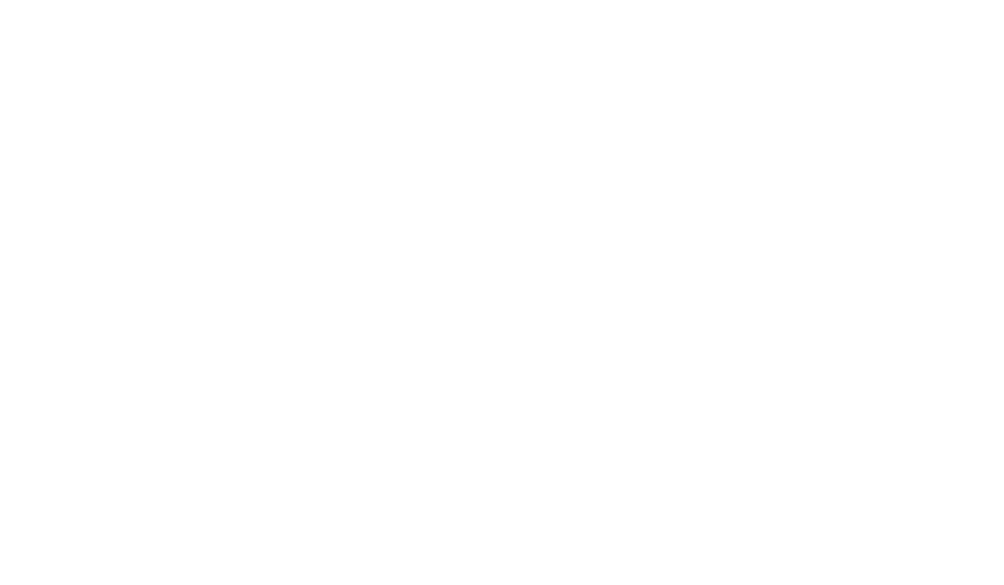 KLM Logo